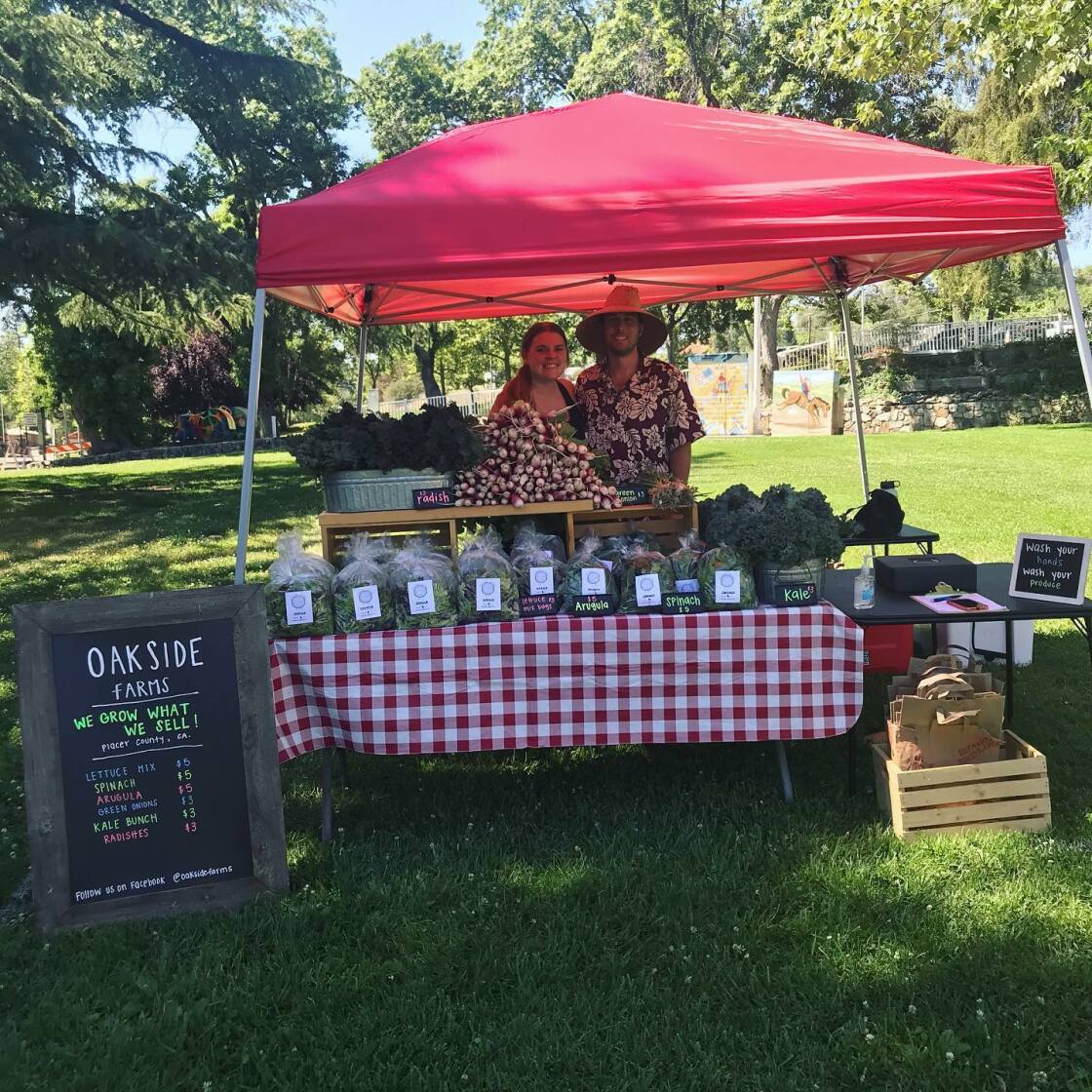 Oakside Rothwell First farmers market in auburn